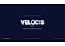 architect a premium name and identity for your visionary startup